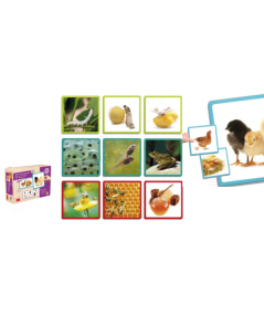Juego de estimulación cognitiva - Maxi-secuencias naturales