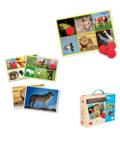 Bingo - Los animales y la naturaleza